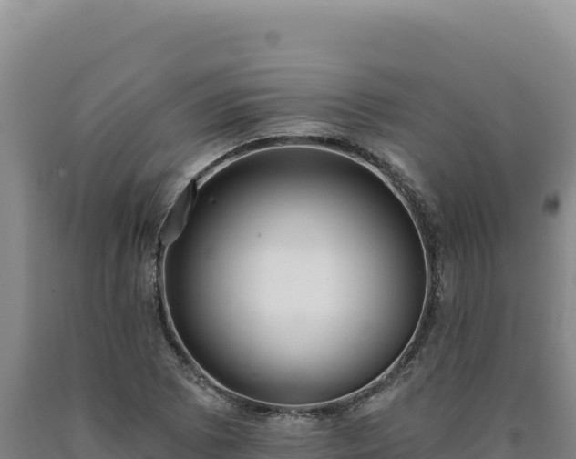 X0000090751073200707271440