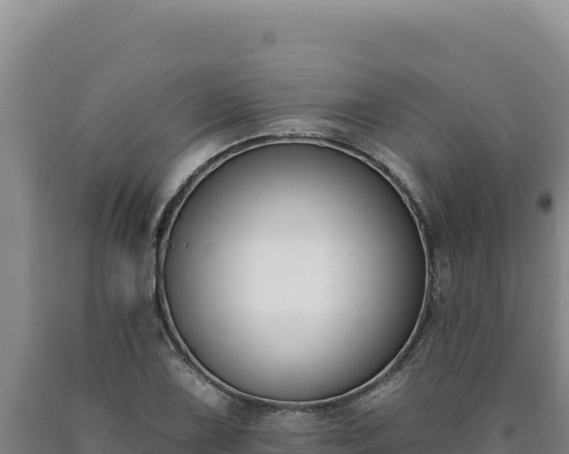 X0000090751075200707271440