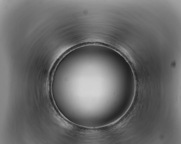 X0000090751076200707271440