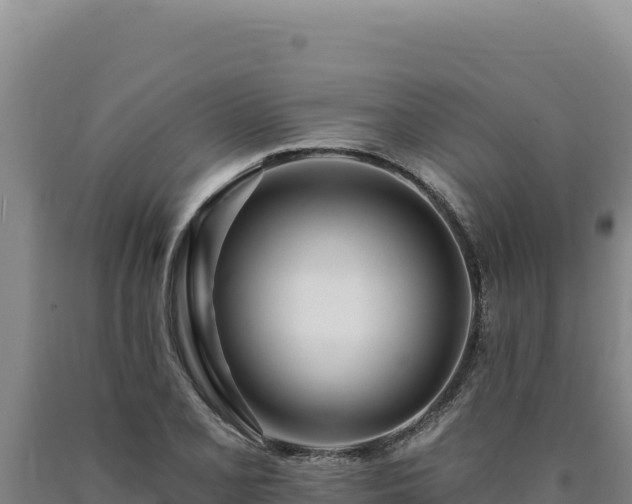 X0000090751077200707271440