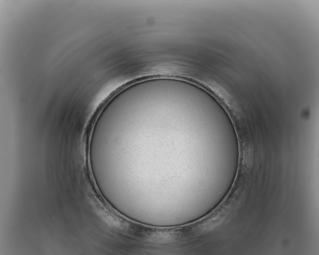 X0000090751078200707271440