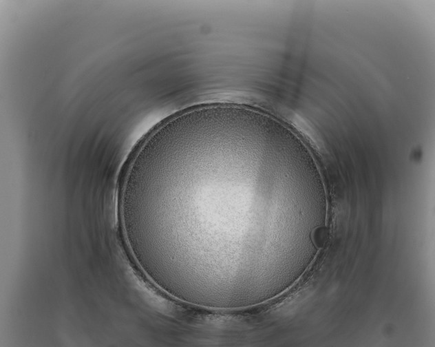 X0000090751079200707271440