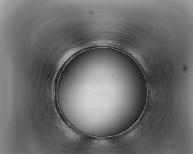 X0000090751082200707271440