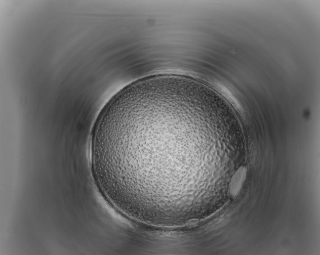X0000090751084200707271440