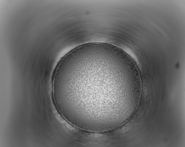 X0000090751088200707271440