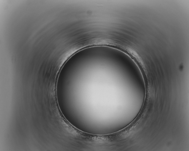 X0000090751089200707271440
