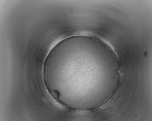 X0000090751091200707271440