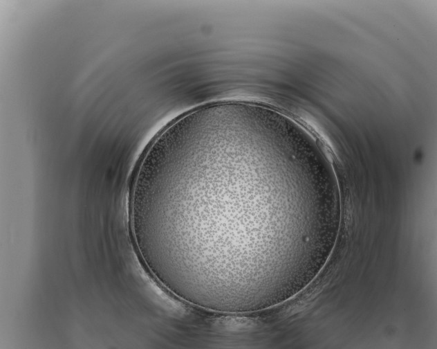 X0000090751092200707271440