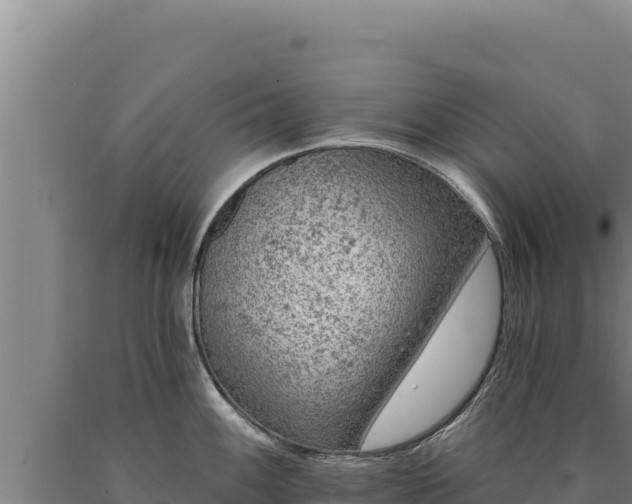 X0000090751100200707271440