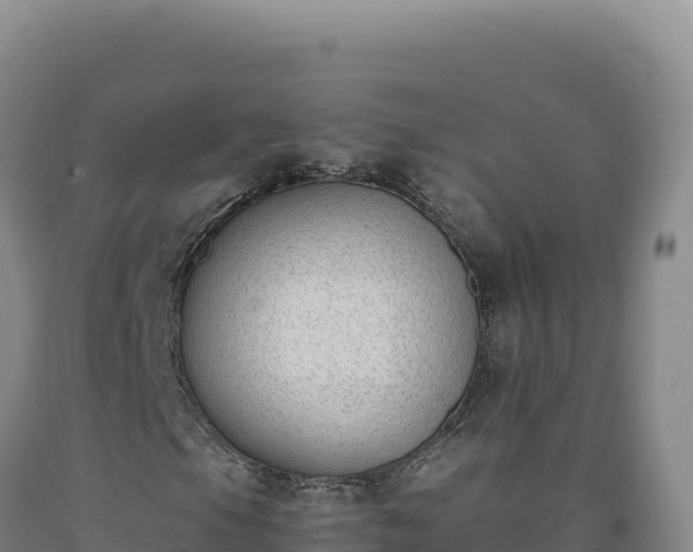 X0000090751105200707271439