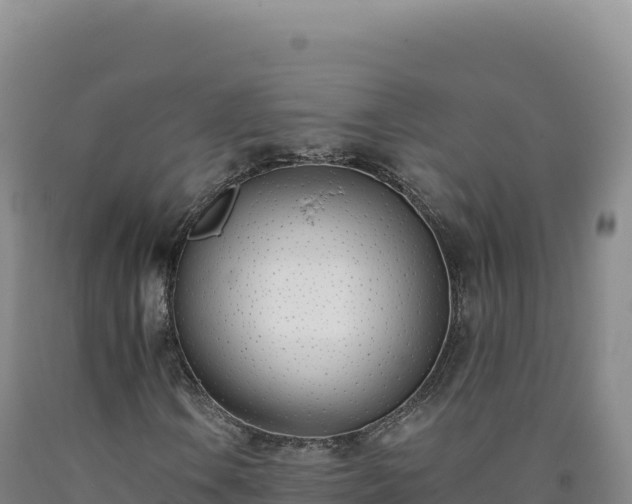 X0000090751106200707271439