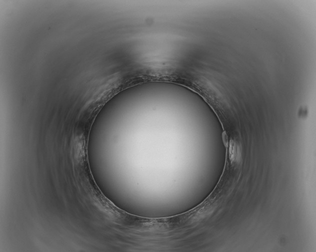 X0000090751107200707271439