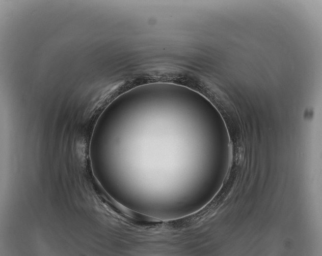 X0000090751108200707271439