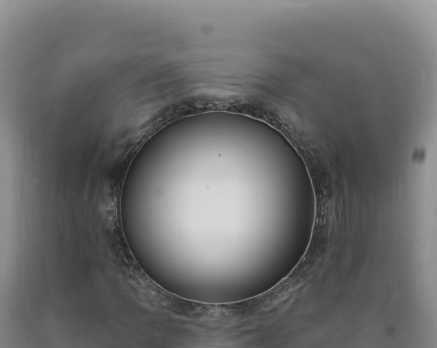 X0000090751109200707271439