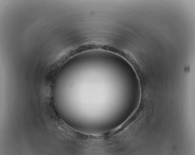 X0000090751110200707271439