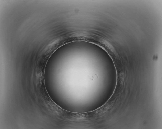 X0000090751111200707271439