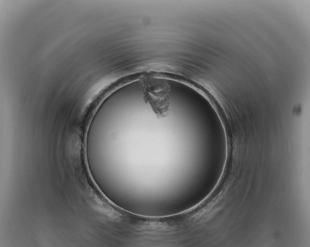 X0000090751115200707271439