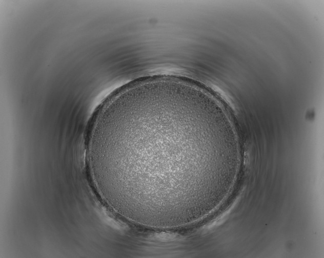 X0000090751117200707271439