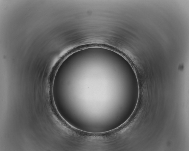 X0000090751118200707271439