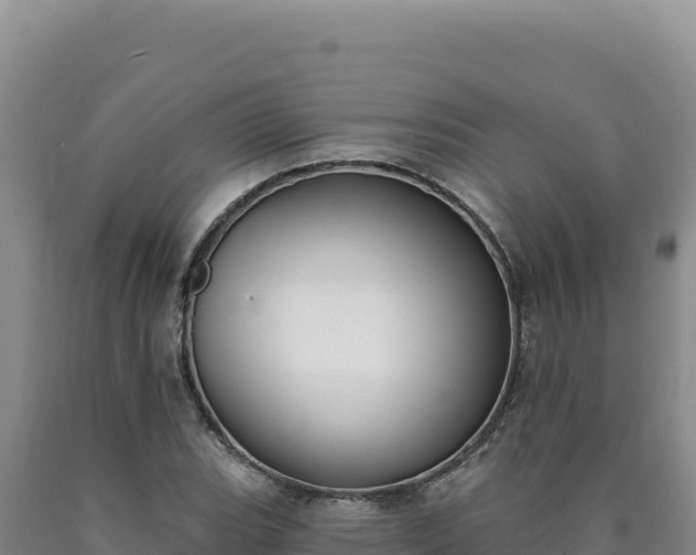 X0000090751119200707271439