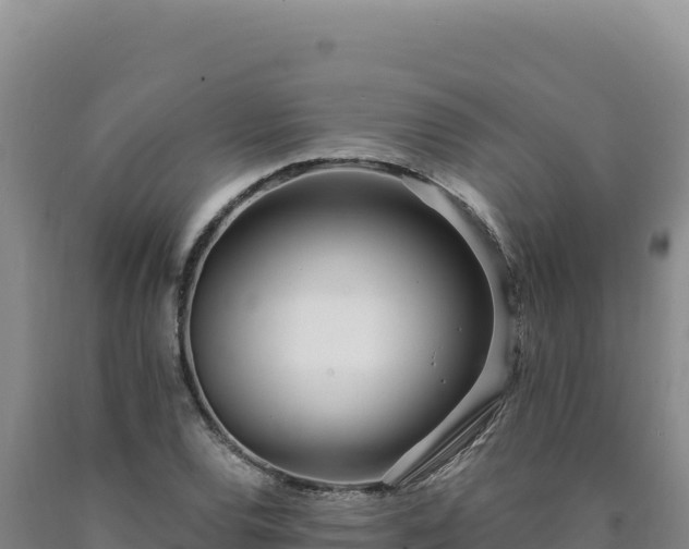 X0000090751120200707271439