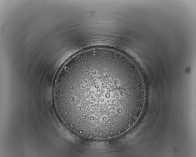 X0000090751121200707271439