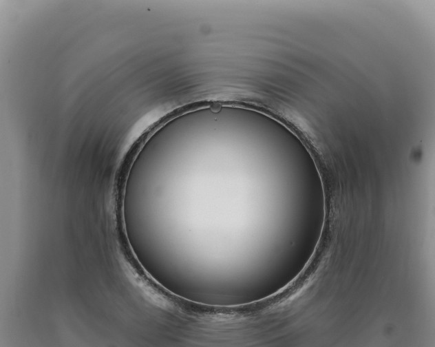X0000090751122200707271439