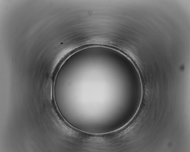 X0000090751123200707271439