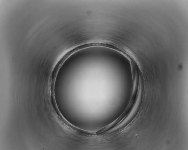 X0000090751124200707271439