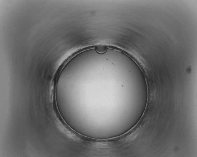 X0000090751126200707271439
