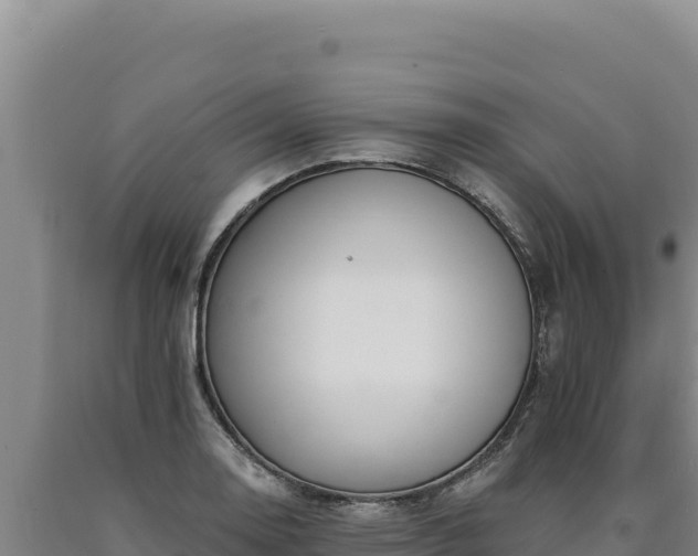 X0000090751130200707271439