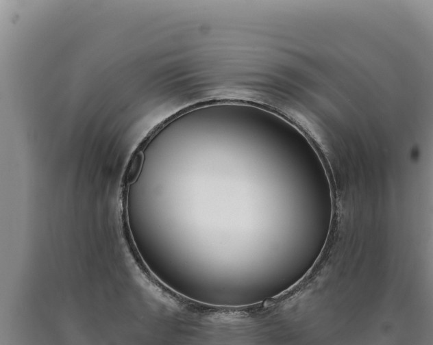 X0000090751133200707271439