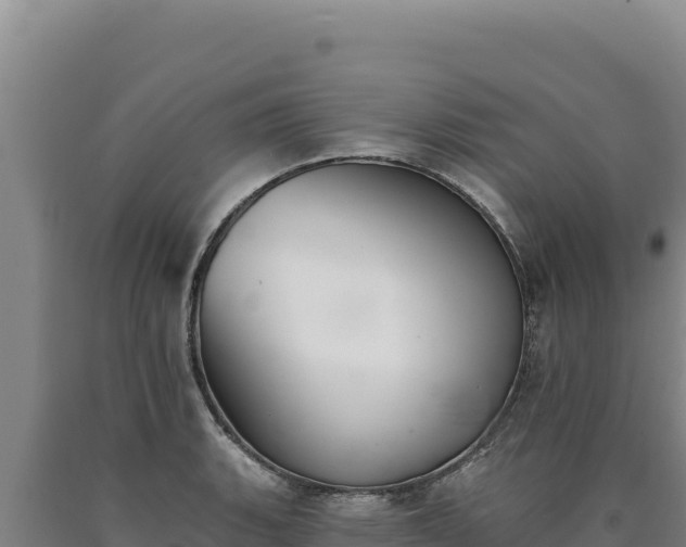 X0000090751135200707271439