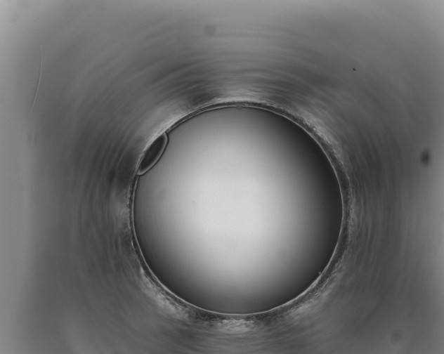 X0000090751137200707271440