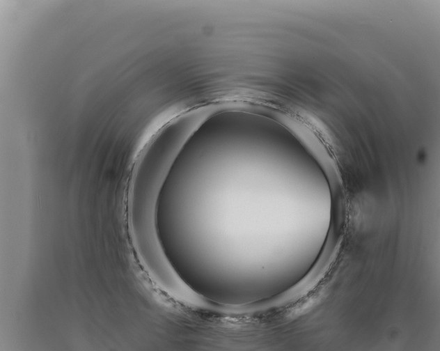 X0000090751138200707271440