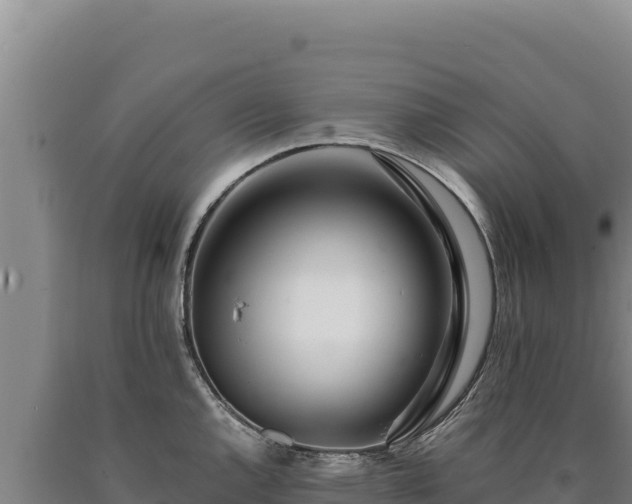 X0000090751144200707271440