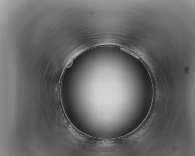 X0000090751145200707271440