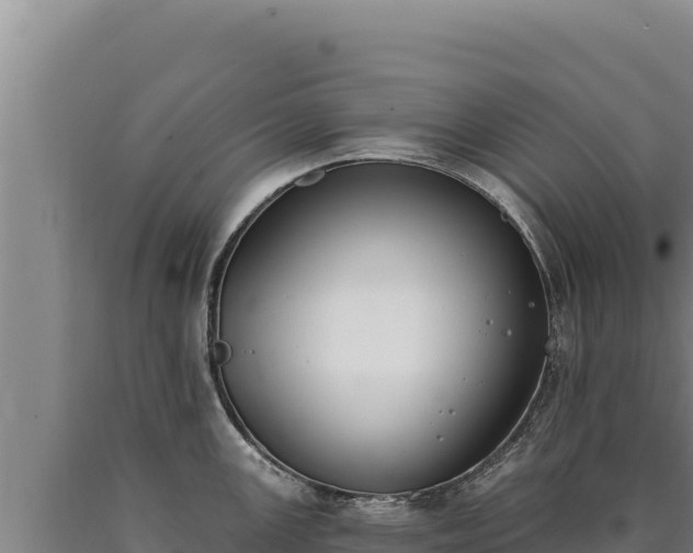 X0000090751147200707271440