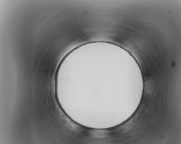 X0000090751150200707271440
