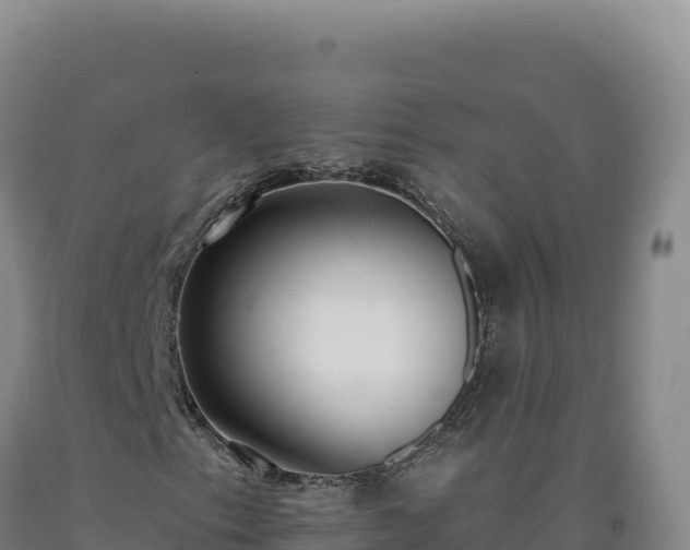 X0000090751153200707271439