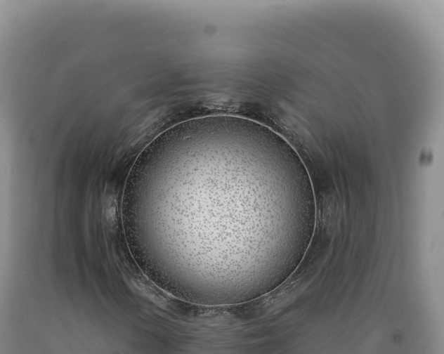 X0000090751154200707271439