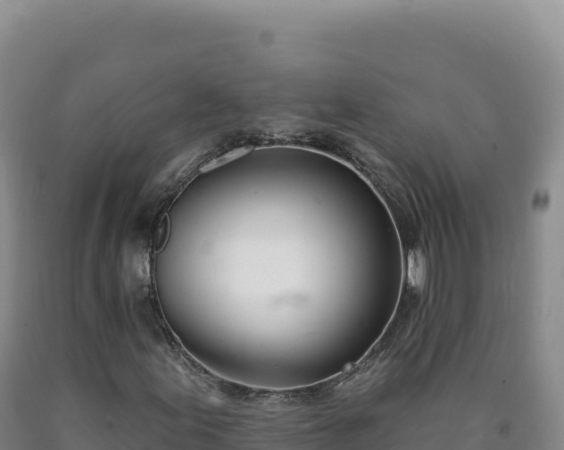X0000090751155200707271439