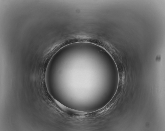 X0000090751157200707271439