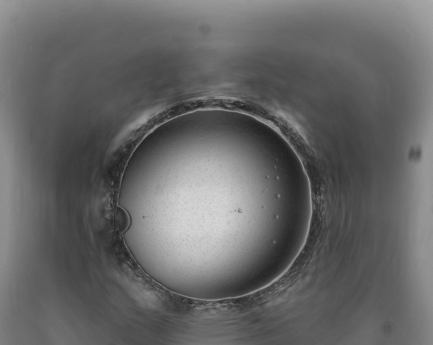 X0000090751159200707271439
