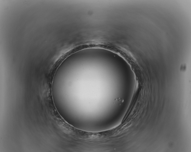 X0000090751160200707271439