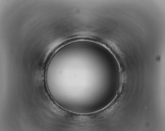 X0000090751164200707271439