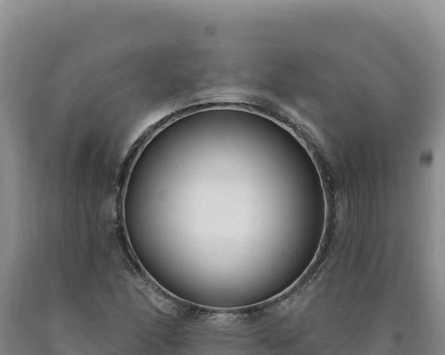 X0000090751166200707271439