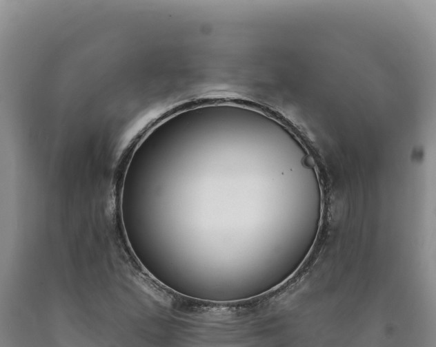 X0000090751167200707271439