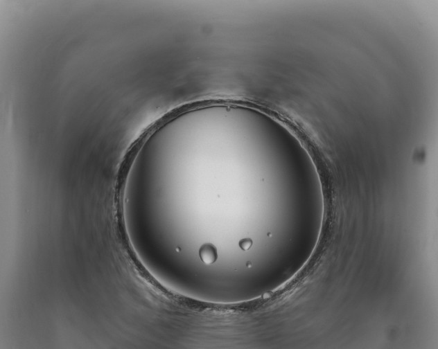 X0000090751168200707271439