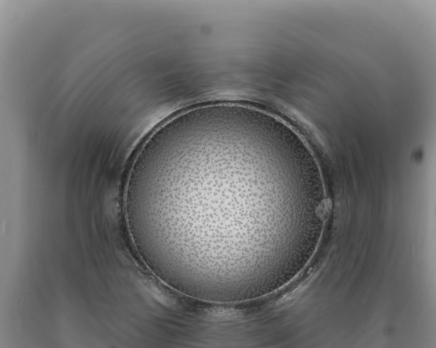 X0000090751170200707271439